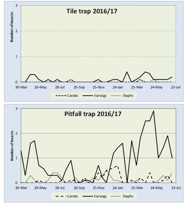 graph comparing insects found in pitfall and tile traps