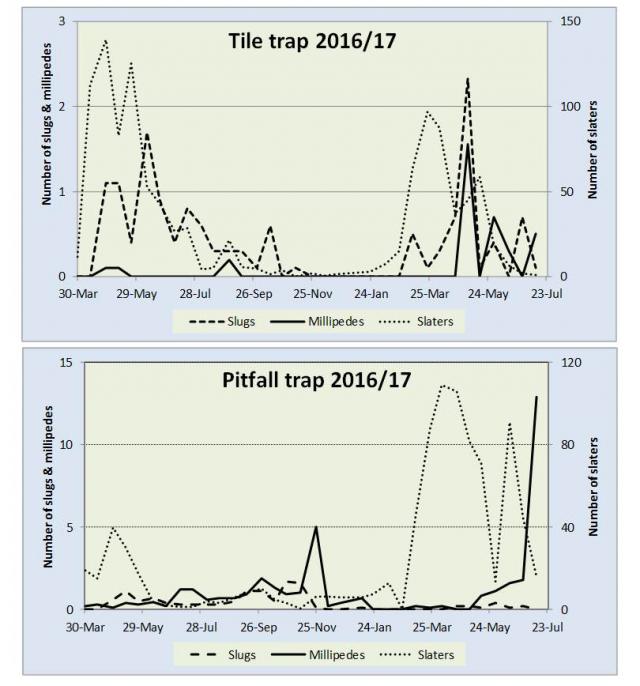 graph comparing insects found in pitfall and tile traps
