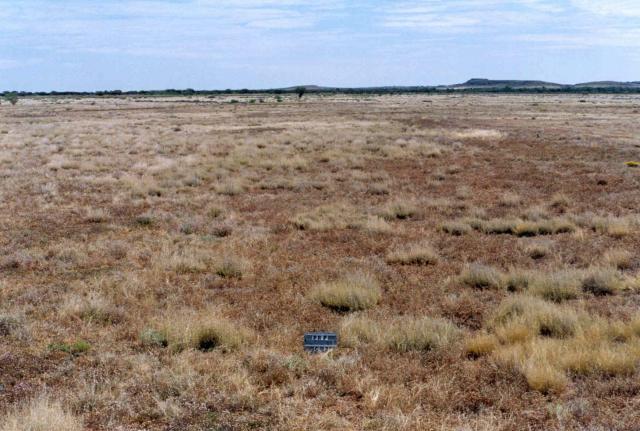 Photograph of Roebourne Plains grass pasture in fair condition