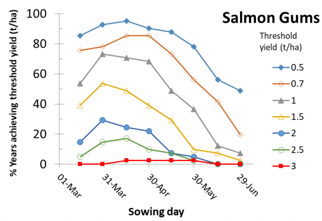 Figure 22 Salmon Gums risk profile for canola yields according to time of sowing