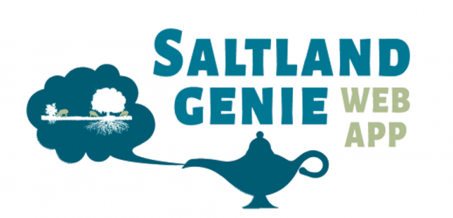 Saltland Genie web app logo