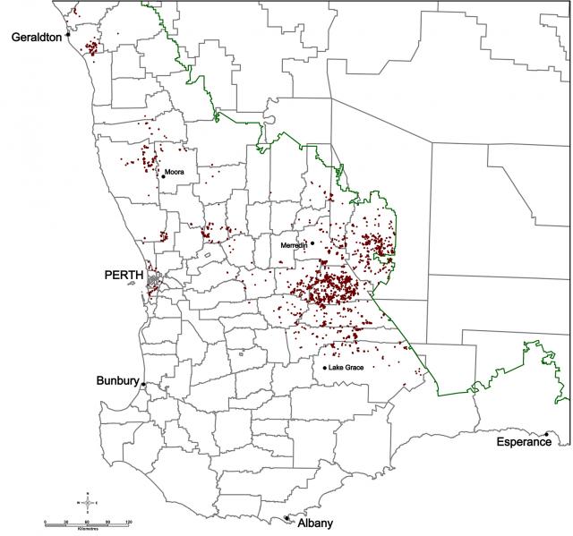 Distribution of skeleton weed infestations throughout the agricultural regions in 2016/17 season