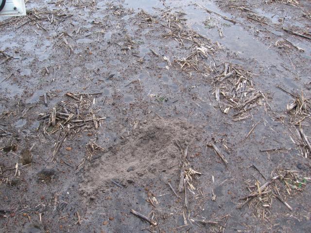 Non-wetting soil
