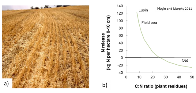 High stubble loads on the left and graph illustrating different C:N ratios for various crop residues on the right.