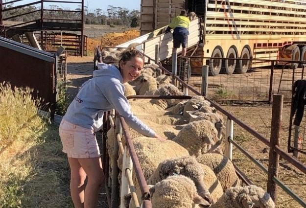 Tanya Kilminster runs a mixed enterprise farm with Merino sheep .