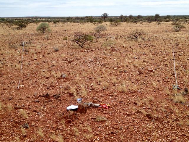 Photograph of a stony mulga mixed shrubland community in poor condition