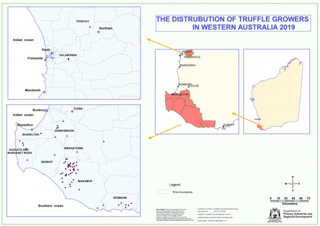 Location of truffle orchards in Western Australia, showing a large cluster in the Manjimup Shire