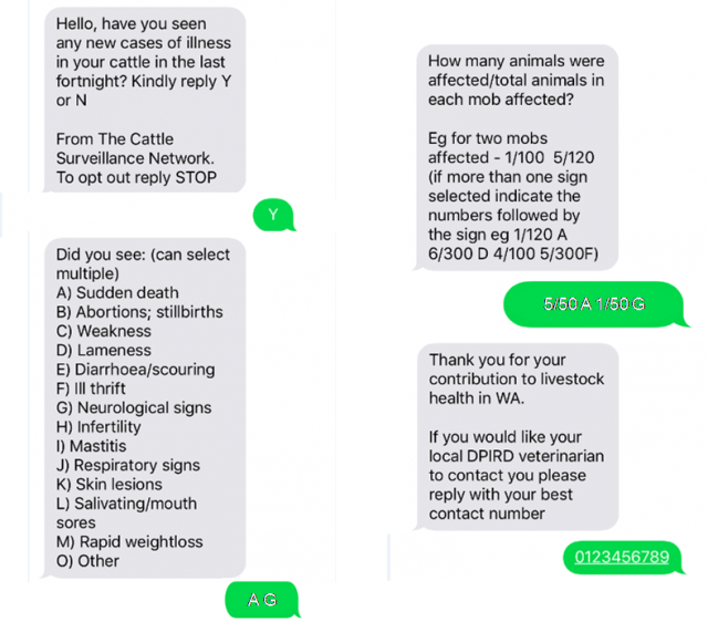 Example of fortnightly SMS sent
