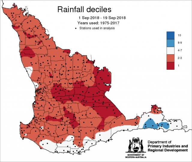 Rainfall deciles from 1 September to 19 September showing below average rainfall for most of the grainbelt.