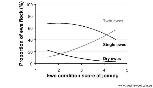 As condition score increases so does the proportion of twinning ewes but the  proportion of single and dry ewes declines.