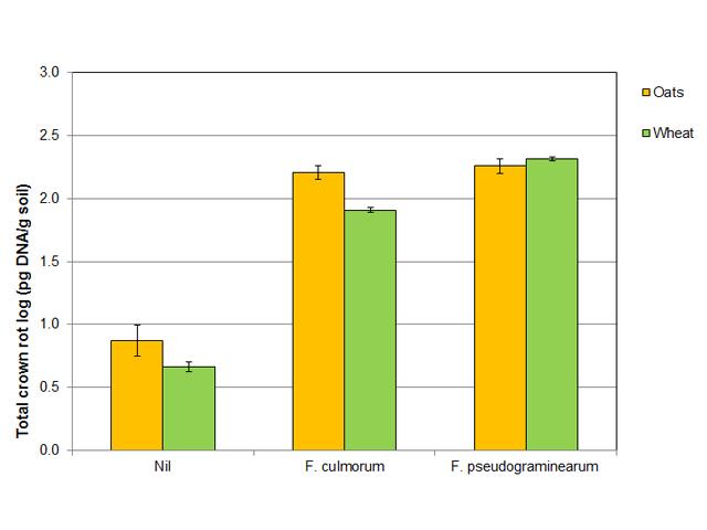 Figure 5. Total crown rot inoculum in soil collected in April 2017 from Nil and inoculated plots with Fusarium pseudograminearum and F. culmorum of oats and wheat at the 2016 Pingelly trial site.