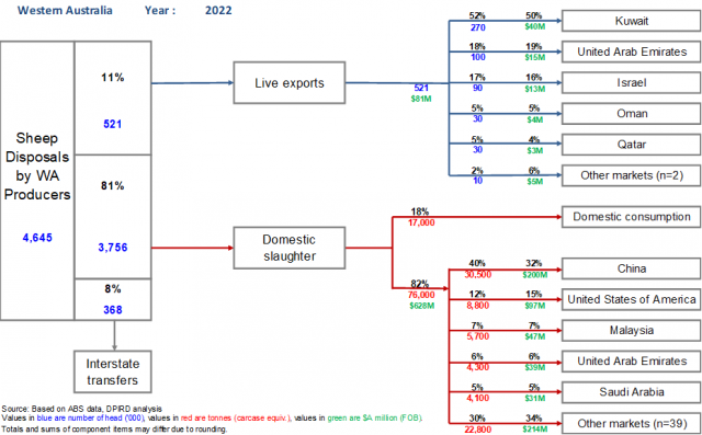 Chart mapping sheep disposals in 2022. 11% were exported live, 81% slaughtered domestically and 8% sent interstate