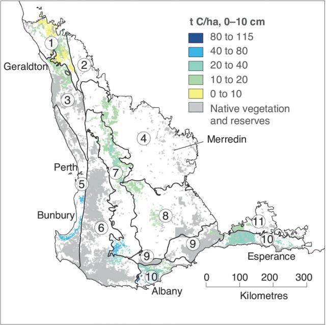 The current status of soil organic carbon in Western Australia