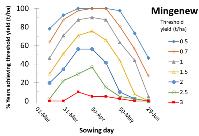 Figure 3. Percentage of years (%) with yield above certain thresholds for the period 1976-2016 for Mingenew, sowing cultivar ATR Bonito for the different sowing dates studied. Yield thresholds were 0.5, 0.7, 1, 1.5, 2.0, 2.5 and 3.0 t/ha.