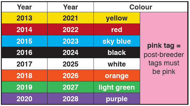 Year of birth colour system for sheep