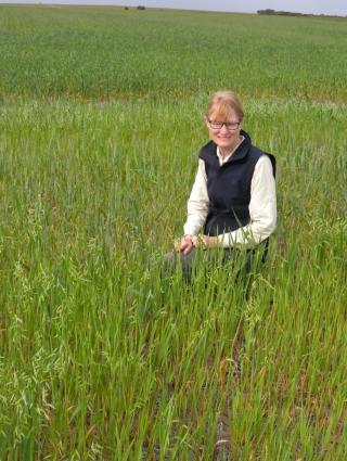 Carla Wilkinson, Research officer from Department of Primary Industries and Regional Development (DPIRD) in an oat paddock.