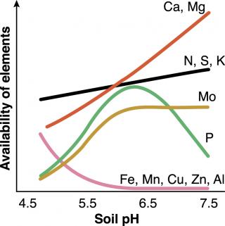 A representation of the relationship between soil pH and nutrient availability. In acidic soils, some nutrients may be insufficiently available for optimal plant growth and aluminium may become toxic.