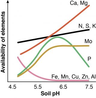 Line drawing of nutrient availability in soils at different levels of acidity