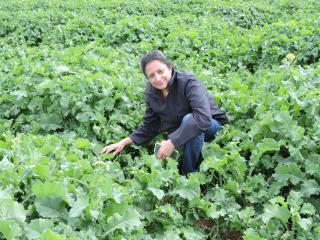 Plant Pathologist Ravjit Khangura in a canola crop at New Norcia.