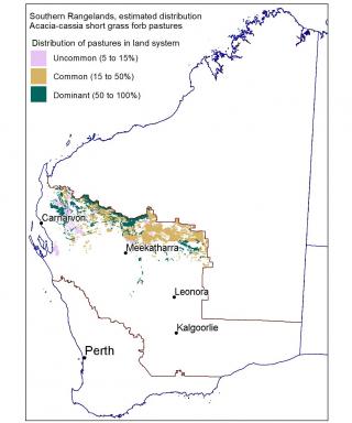 Line drawing map of the estimated distribution of acacia-cassia short grass forb pastures