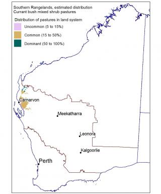 Line drawing map of the estimated distribution of currant bush mixed shrub pastures