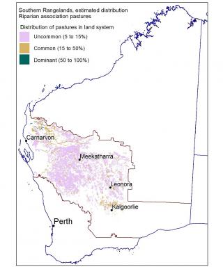 Line drawing map of the estimated distribution of riparian association pastures