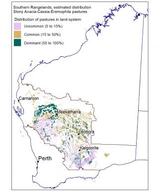 Map of estimated distribution of stony acacia-cassia-eremophila pastures  in the Southern Rangelands