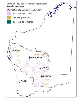 Line drawing map of the estimated distribution of samphire pastures