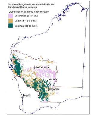 Line drawing map of the estimated distribution of sandplain shrubs pastures