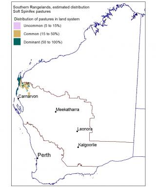 Map of estimated distribution of soft spinifex pastures in the Southern Rangelands