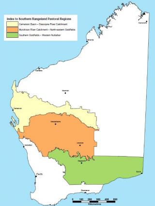 Map of Western Australia showing the three Southern Rangeland pastoral regions