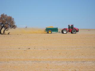 Photograph of clay being spread on an a bare sandy paddock to prevent erosion