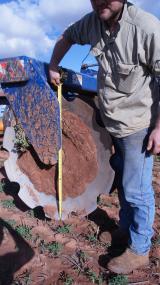 Grower standing alongside a large offset disc plough