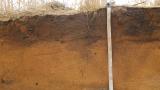 Soil pit profile showing offset discs have been observed to incorporate lime to a depth of 10-15cm