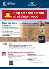 Help stop the spread of skeleton weed poster
