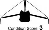Condition score 3