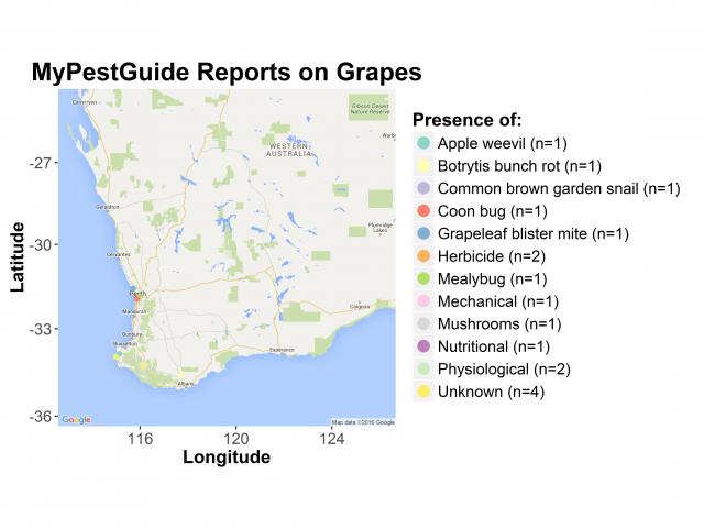 Location of MyPestGuide reports on grapes, by pest for season 2015/2016