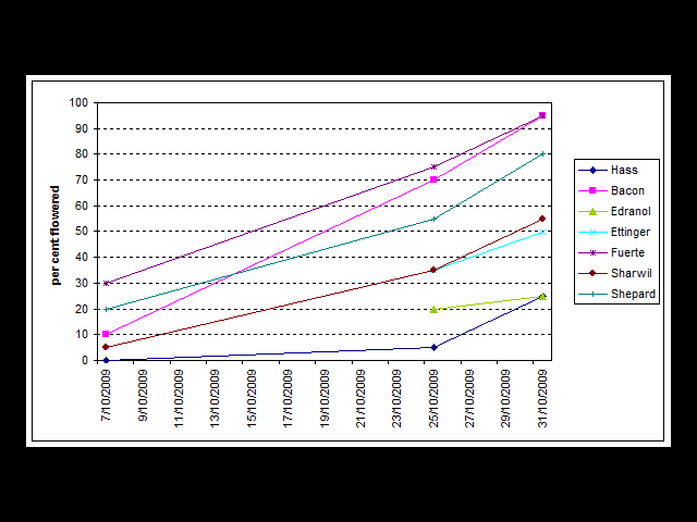 line graph showing the progression on flowering of a range of avocado varieties: Hass, Bacon, Edranol, Ettinger, Fuerte, Sharwil and Shepard