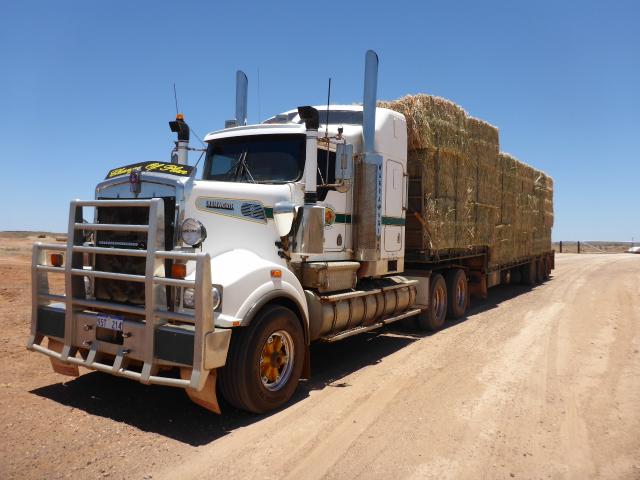Hay bales loaded onto truck after the first harvest at the Woodie Woodie site.