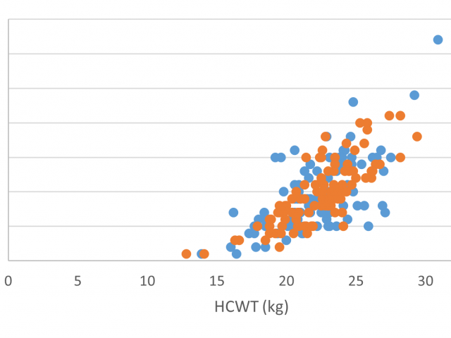 Figure 1 - HCWT and GR measurements off all lambs, displayed as lambs that were selected for CT scanning (orange marker) and non-CT scanning (blue marker)