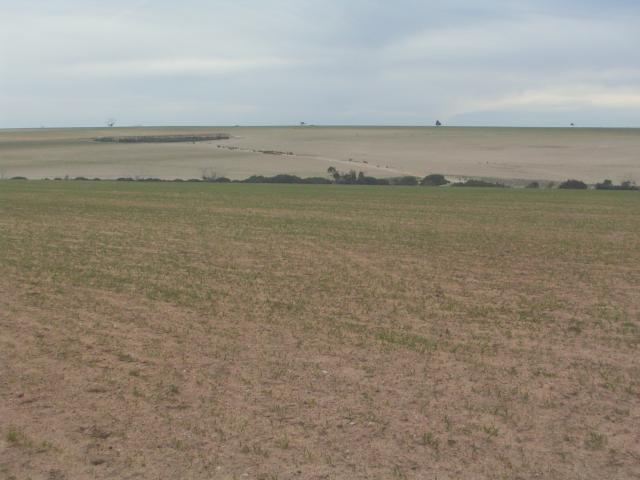 A wind eroded paddock