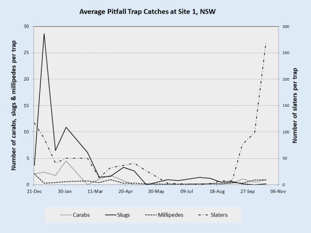 chart showing results of pitfall trap monitoring from an orchard in NSW