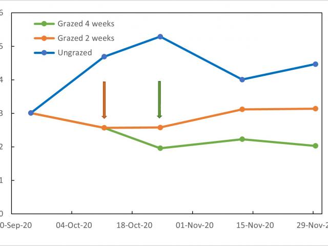 Figure 3: Average feed on offer (t DM/ha) of pasture at Boyup Brook, Kalgan and Cranbrook that was ungrazed, grazed for 2 weeks or grazed for 4 weeks in 2020. Arrows indicate when livestock were removed, colour indicates treatment.