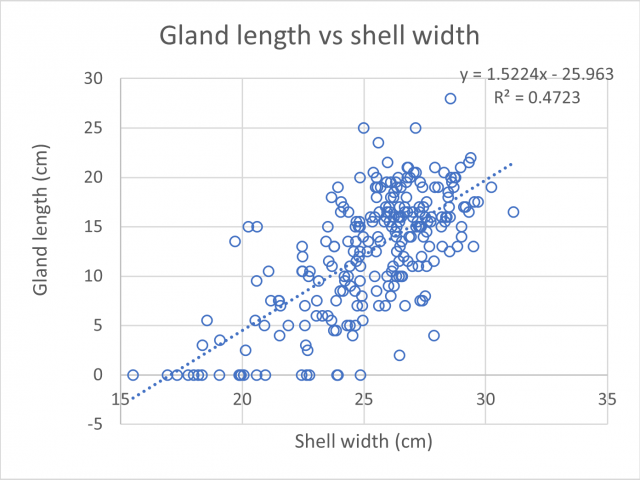 Figure 1. Relationship between brown garden snail albumen gland length and shell width.