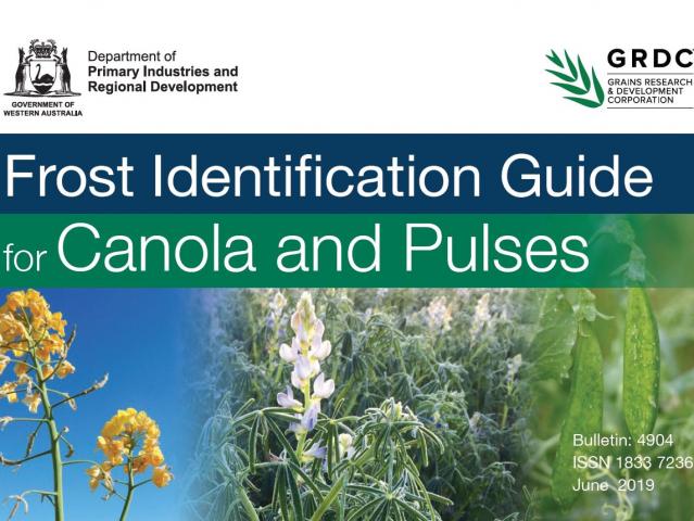 Cover of the Frost Identification Guide for Canola and Pulses