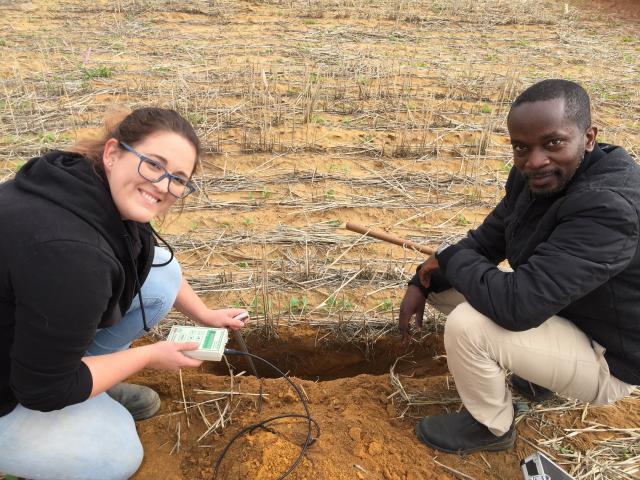 Two people crouching in paddock stubble using instrument to measure soil moisture in in a furrow