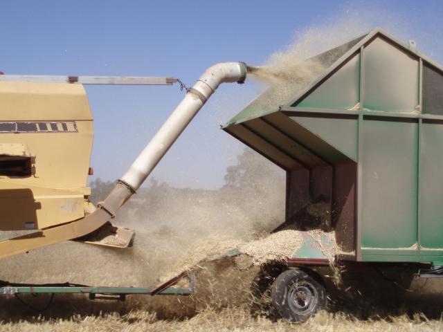 Photograph of a combine harvester parked in a paddock and blowing material into a chaff cart. A lot of dust and dry plant material is covering the chaff cart.