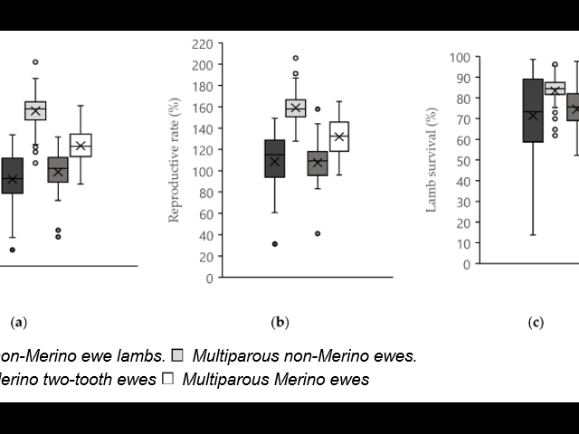 Figure 1 Box and whisker plot for (a) marking rate, (b) reproductive rate and (c) lamb survival in maiden ewe lambs, Merino two-tooth ewes and equivalent multiparous ewes