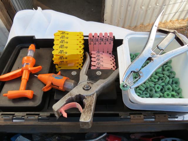 Equipment for NLIS tagging