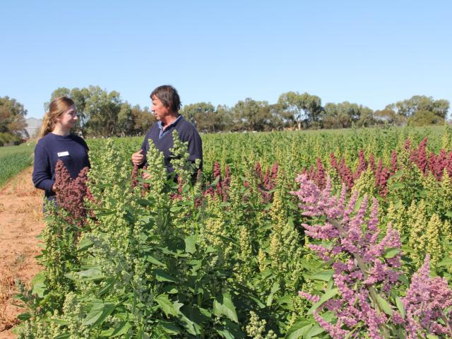 two people standing in a quinoa trial